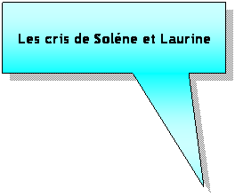 Rectangle: Les cris de Solne et Laurine 
